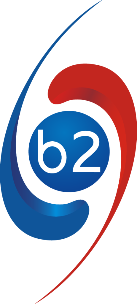 favicon b2intosys